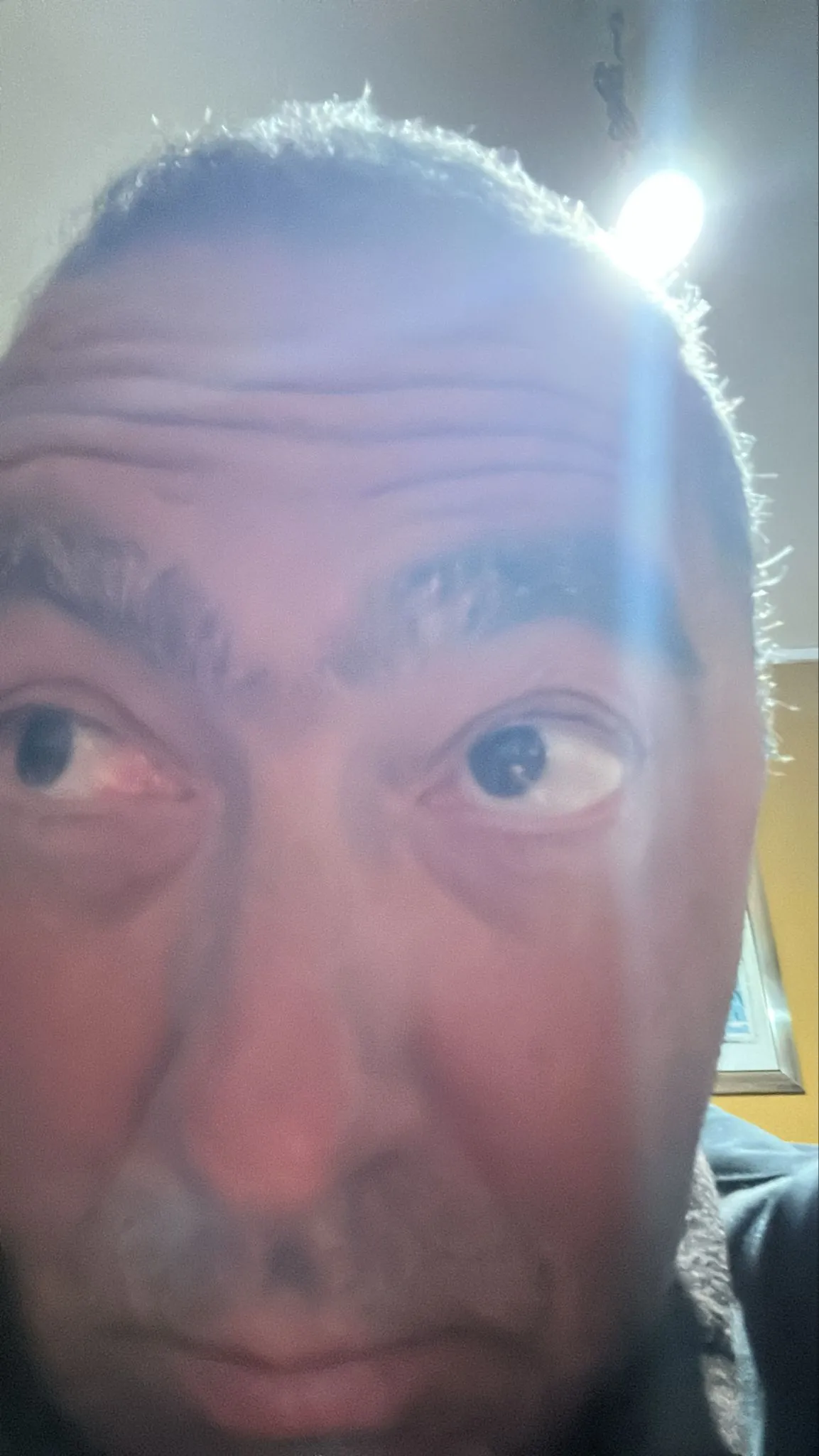 2026-06-04-025021.jpg