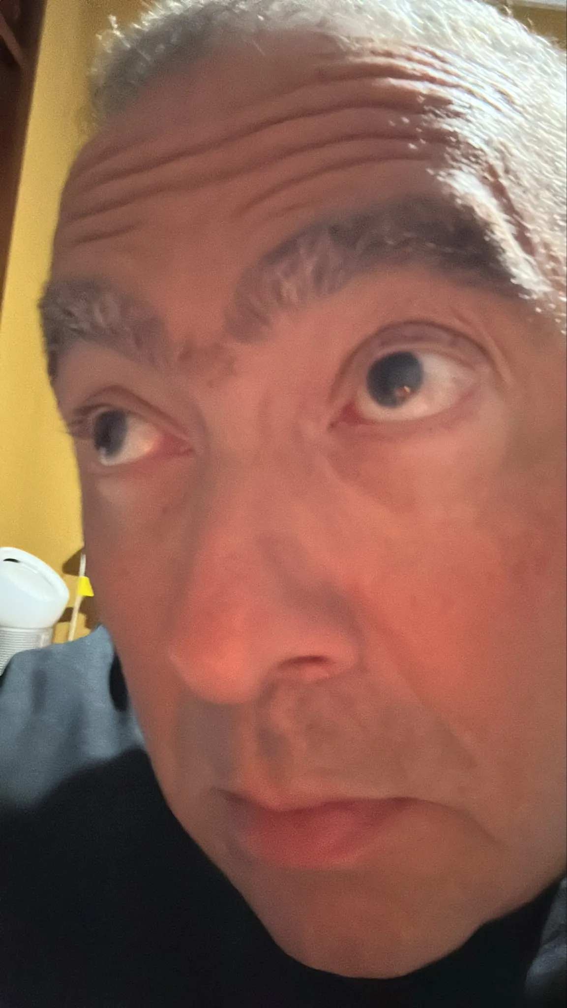 2026-06-11-020313.jpg