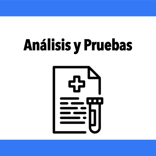Análisis y Pruebas